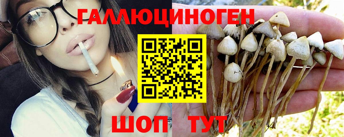 Галлюциногенные грибы GOLDEN TEACHER Мирный