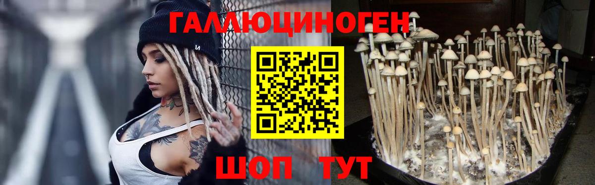 где купить наркоту  Вход с VPN  Мирный  Галлюциногенные грибы Psilocybine cubensis 
